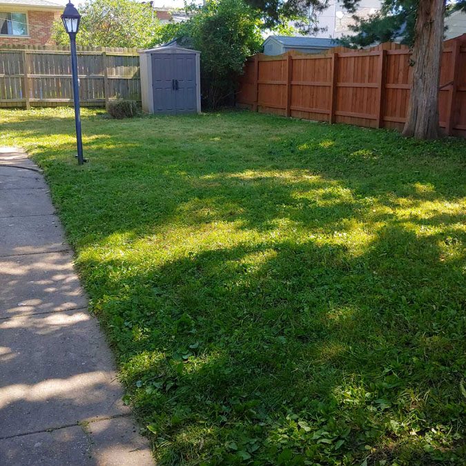 Spring lawn prep for summer cutting.