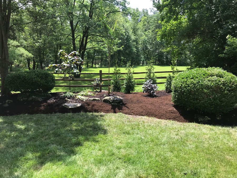 Mulching and Trimming