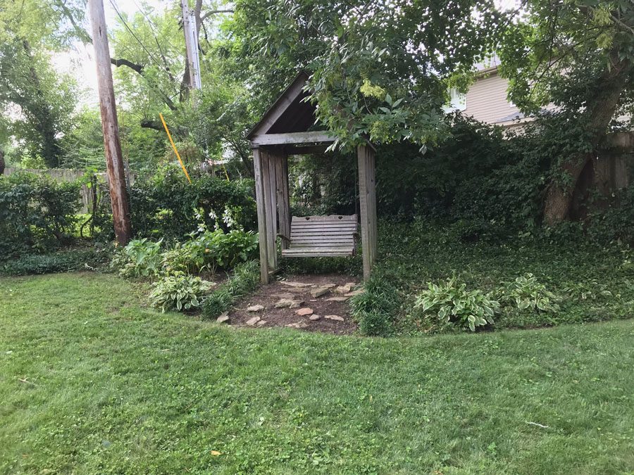 Landscape cleanup and trimming