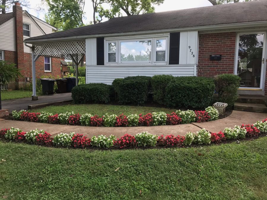 Perennial Planting