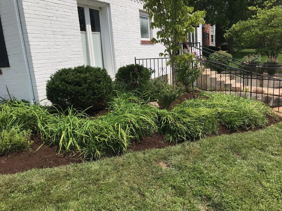 Cleanup, trimming, and mulching
