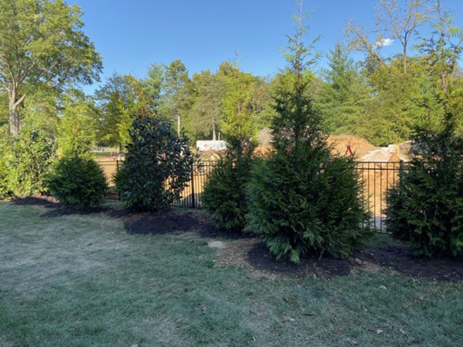 Large Clean-up and Planting Job