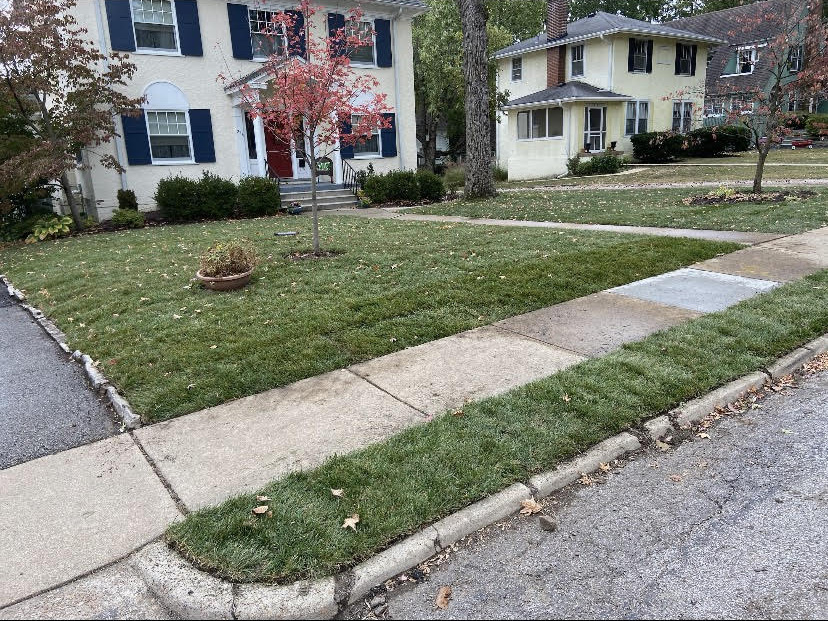 Turf Re-lay