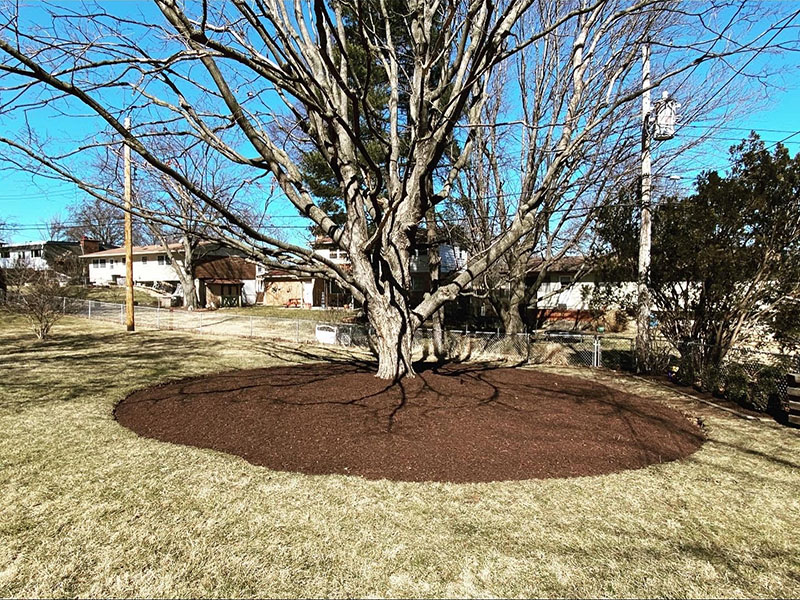 Spring Cleanup and Mulch